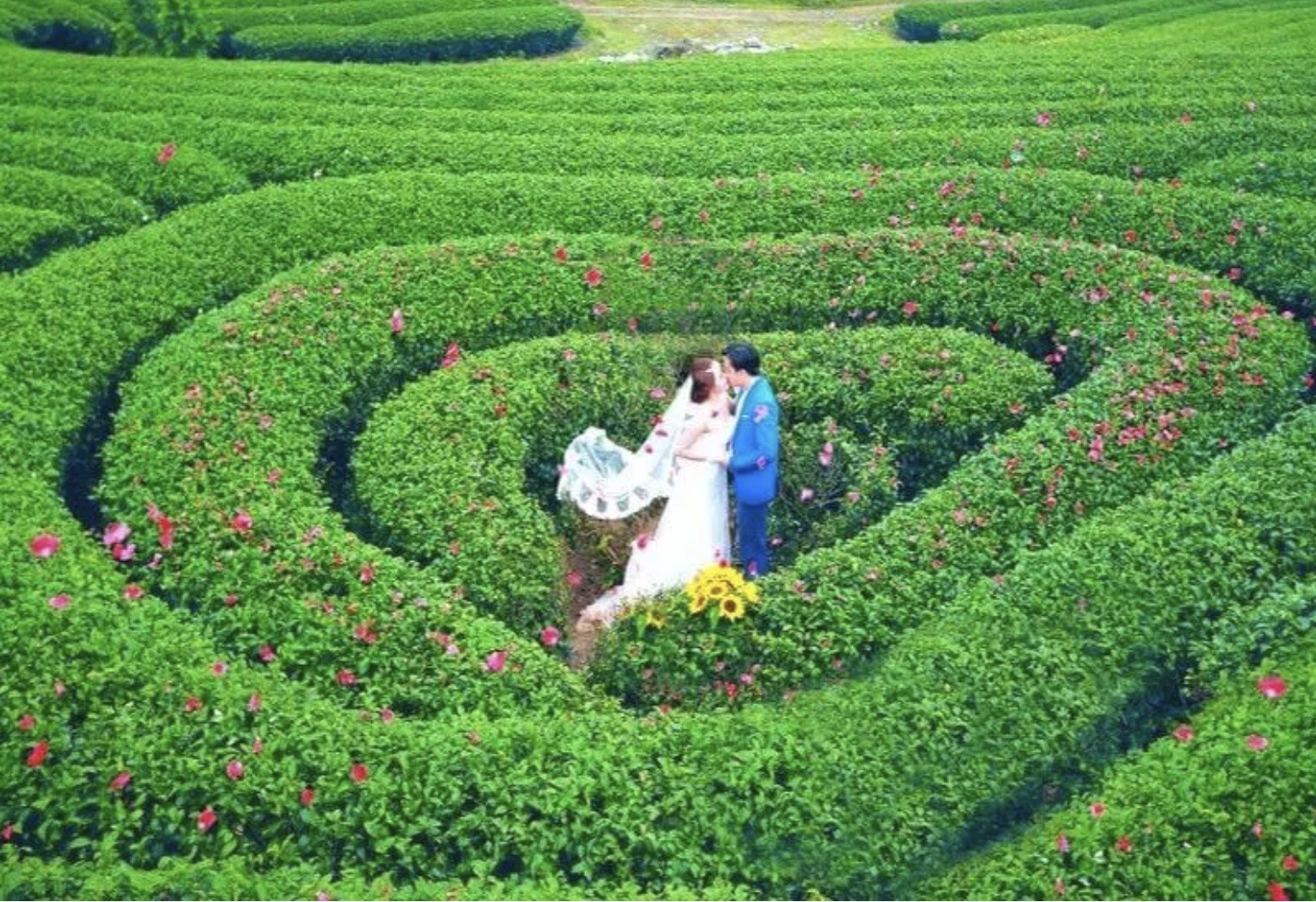 ベトナムでのバレンタイン旅行におすすめの観光地